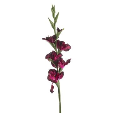 Glaïeul artificiel KIVANA, violet foncé, 90cm