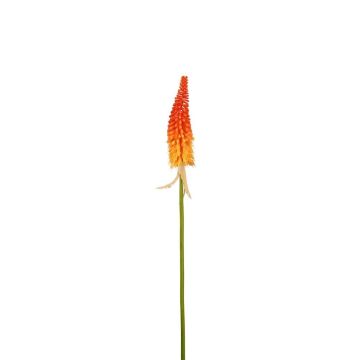 Fleur déco Kniphofia MAVORA, rouge-orange, 80cm