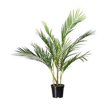 Palmier décoratif Areca YONNE, 70cm