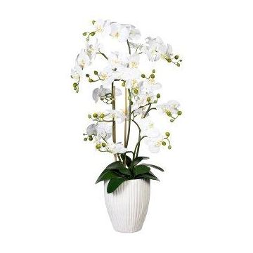 Fleur décorative Orchidée Phalaenopsis VELTORI, vase en céramique, blanc, 110cm Fleur décorative Orchidée Phalaenopsis VELTORI, vase en céramique, blanc, 110cm