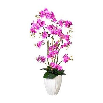 Fleur décorative Orchidée Phalaenopsis VELTORI, vase en céramique, lilas-rose fuchsia, 110cm Fleur décorative Orchidée Phalaenopsis VELTORI, vase en céramique, lilas-rose fuchsia, 110cm