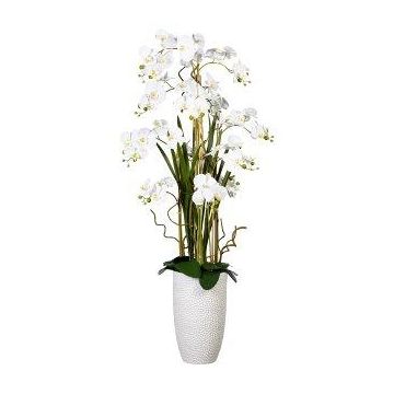 Composition florale artificielle d'orchidée et de saule tire-bouchon TENIKA, vase en céramique, racines, blanc, 160cm Composition florale artificielle d'orchidée et de saule tire-bouchon TENIKA, vase en céramique, racines, blanc, 160cm