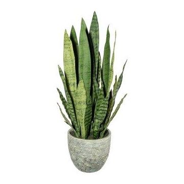 Plante succulente décorative Sansevieria SNARLY dans un cache-pot en mélamine, vert, 80cm Plante succulente décorative Sansevieria SNARLY dans un cache-pot en mélamine, vert, 80cm