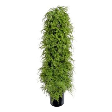 Plante artificielle Asparagus plumosus VELTI, 120cm