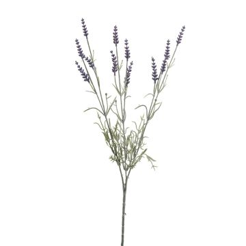 Kunstzweig Lavendel JELLE, lila, 70cm Kunstzweig Lavendel JELLE, lila, 70cm