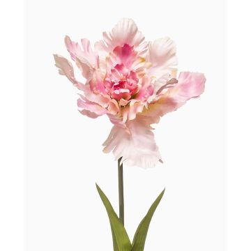 Fleur artificielle Tulipe perroquet ALISCHA, rose clair, 70 cm