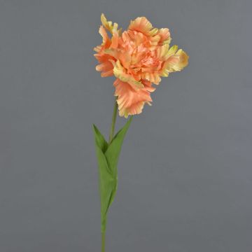 Fleur artificielle Tulipe perroquet ALISCHA, orange, 70 cm