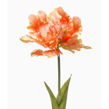 Fleur artificielle Tulipe perroquet ALISCHA, orange, 70 cm