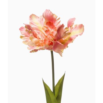 Fleur artificielle Tulipe perroquet ALISCHA, pêche, 70 cm