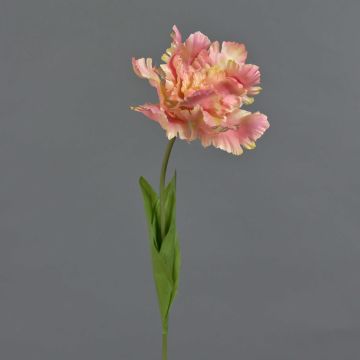 Fleur artificielle Tulipe perroquet ALISCHA, pêche, 70 cm