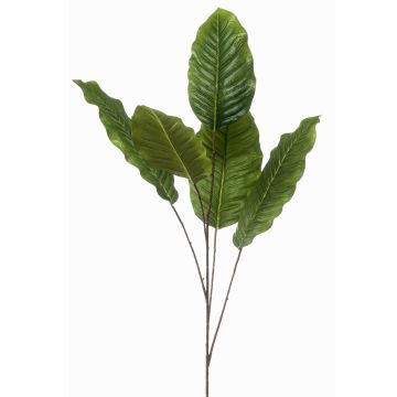 Branche décorative Dieffenbachia ZERVAN, verte, 110 cm Branche décorative Dieffenbachia ZERVAN, verte, 110 cm