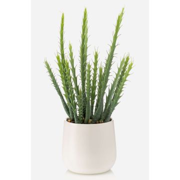 Cactus artificiel Euphorbia sipolisii NORSHO dans un pot décoratif, vert, 28 cm Cactus artificiel Euphorbia sipolisii NORSHO dans un pot décoratif, vert, 28 cm