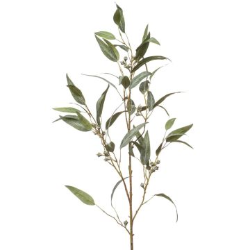 Branche d'eucalyptus en tissu JURKA avec des fruits, vert-gris, 115cm
