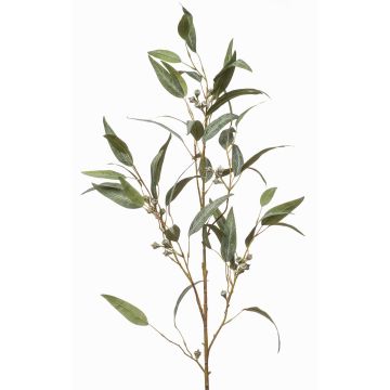 Branche d'eucalyptus en tissu JURKA avec des fruits, vert-gris, 115cm