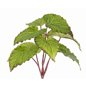 Bégonia à feuilles artificiel KATRICE sur tige, difficilement inflammable, vert, 25 cm