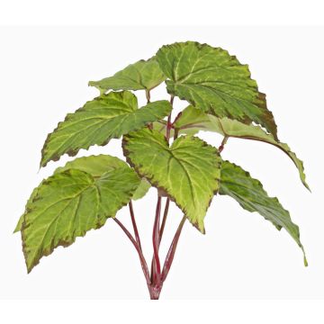 Bégonia à feuilles artificiel KATRICE sur tige, difficilement inflammable, vert, 25cm Bégonia à feuilles artificiel KATRICE sur tige, difficilement inflammable, vert, 25cm