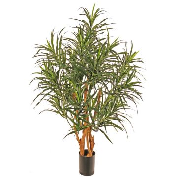 Arbre artificiel Dracaena reflexa anita SENFYN, troncs naturels, vert, 95 cm Arbre artificiel Dracaena reflexa anita SENFYN, troncs naturels, vert, 95 cm