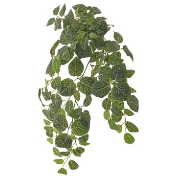 Plante artificielle Fittonia LONFYN, tige, retombante, verte, 75 cm Plante artificielle Fittonia LONFYN, tige, retombante, verte, 75 cm