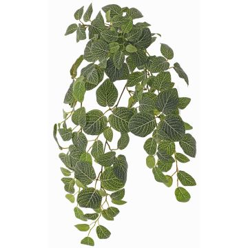 Plante artificielle Fittonia LONFYN, tige, retombante, verte, 75cm Plante artificielle Fittonia LONFYN, tige, retombante, verte, 75cm
