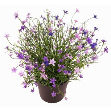 Fleur décorative Impatiens GISINDA dans un pot décoratif, lilas, 25cm