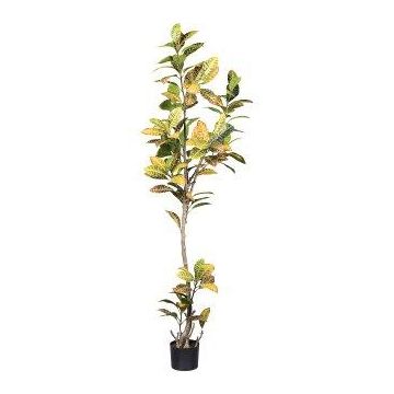 Arbre artificiel Croton ERENDY, tronc artificiel, vert-jaune, 200 cm Arbre artificiel Croton ERENDY, tronc artificiel, vert-jaune, 200 cm