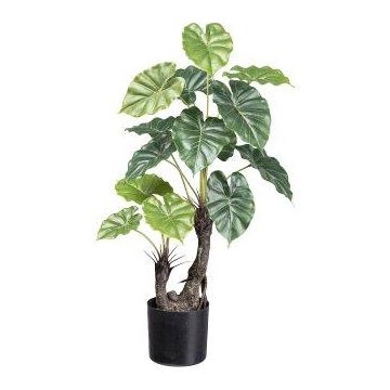 Plante artificielle Colocasia SLIHER, tige artificielle, verte, 70 cm Plante artificielle Colocasia SLIHER, tige artificielle, verte, 70 cm