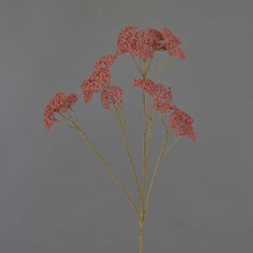 Branche décorative d'achillée ORTEGA, vieux rose, 75 cm, Ø 7-13 cm Branche décorative d'achillée ORTEGA, vieux rose, 75 cm, Ø 7-13 cm