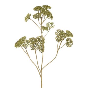 Branche décorative d'achillée ORTEGA, verte, 75 cm, Ø 7-13 cm Branche décorative d'achillée ORTEGA, verte, 75 cm, Ø 7-13 cm