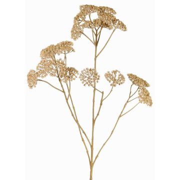 Branche décorative d'achillée millefeuille ORTEGA, beige, 75cm, Ø7-13cm Branche décorative d'achillée millefeuille ORTEGA, beige, 75cm, Ø7-13cm