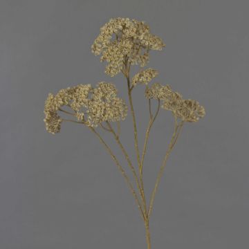 Branche décorative d'achillée millefeuille ORTEGA, beige, 75 cm, Ø 7-13 cm Branche décorative d'achillée millefeuille ORTEGA, beige, 75 cm, Ø 7-13 cm