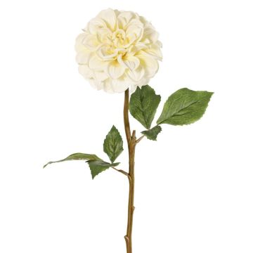 Fleur artificielle dahlia BREDANA, crème, 60 cm, Ø 11 cm Fleur artificielle dahlia BREDANA, crème, 60 cm, Ø 11 cm