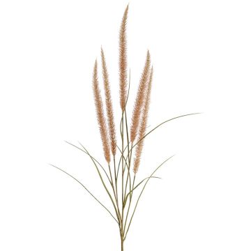 Branche décorative d'herbe à plumes AREVALO avec panicules, beige, 135 cm