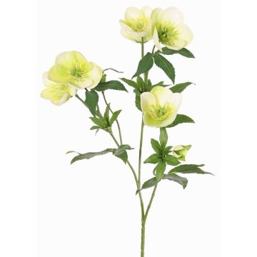 Branche de roses de Noël artificielles ANYALA, vert-blanc, 60cm, Ø5-6cm