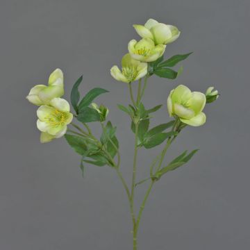 Branche de roses de Noël artificielles ANYALA, vert-blanc, 60 cm, Ø 5-6 cm Branche de roses de Noël artificielles ANYALA, vert-blanc, 60 cm, Ø 5-6 cm