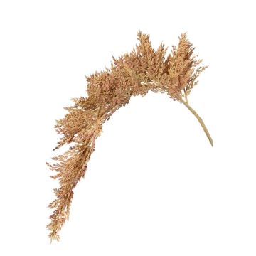 Branche de sorgho artificielle BOTTO avec épis, beige-rouge, 95 cm Branche de sorgho artificielle BOTTO avec épis, beige-rouge, 95 cm