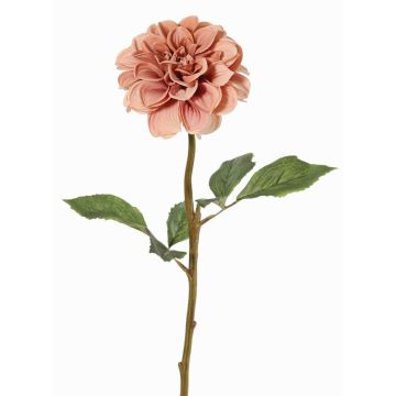 Fleur artificielle dahlia BREDANA, vieux rose, 60cm, Ø11cm Fleur artificielle dahlia BREDANA, vieux rose, 60cm, Ø11cm