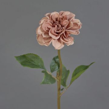 Fleur artificielle dahlia BREDANA, vieux rose, 60 cm, Ø 11 cm Fleur artificielle dahlia BREDANA, vieux rose, 60 cm, Ø 11 cm