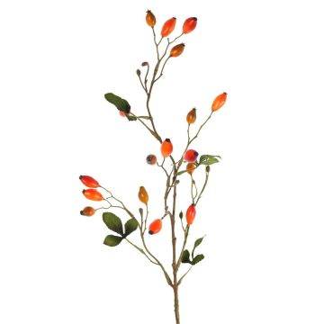 Branche décorative de rosier sauvage ZERBST avec des cynorrhodons, orange-rouge, 80 cm Branche décorative de rosier sauvage ZERBST avec des cynorrhodons, orange-rouge, 80 cm