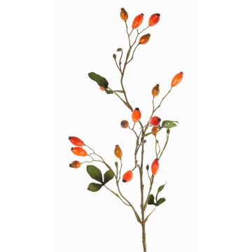 Branche décorative de rosier sauvage ZERBST avec des cynorrhodons, orange-rouge, 80cm Branche décorative de rosier sauvage ZERBST avec des cynorrhodons, orange-rouge, 80cm