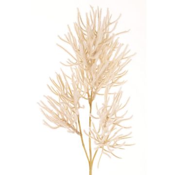 Branche décorative « Corail » BILBAS, crème, 70 cm