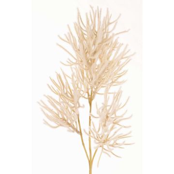 Branche décorative Corail BILBAS, crème, 70cm Branche décorative Corail BILBAS, crème, 70cm