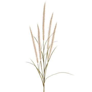 Branche décorative d'herbe à plumes AREVALO avec panicules, crème, 135 cm