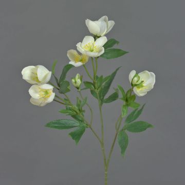 Branche de rose de Noël artificielle ANYALA, blanc crème, 60 cm, Ø 5-6 cm