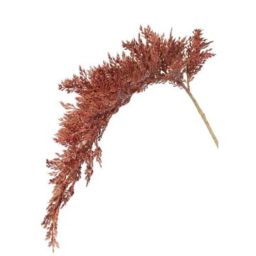 Branche de sorgho artificielle BOTTO avec épis, rouge-brun, 95 cm Branche de sorgho artificielle BOTTO avec épis, rouge-brun, 95 cm