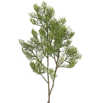 Branche décorative de cyprès artificiel SILVARIO, verte, 75 cm Branche décorative de cyprès artificiel SILVARIO, verte, 75 cm
