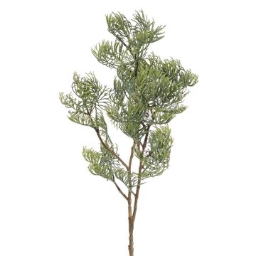 Branche décorative de cyprès artificiel SILVARIO, gris-vert, 75 cm Branche décorative de cyprès artificiel SILVARIO, gris-vert, 75 cm