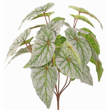 Bégonia à feuilles artificiel DIKTIS sur tige, vert-gris, 35cm Bégonia à feuilles artificiel DIKTIS sur tige, vert-gris, 35cm