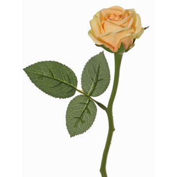 Fleur artificielle rose GABI, pêche-crème, 30cm, Ø6cm Fleur artificielle rose GABI, pêche-crème, 30cm, Ø6cm