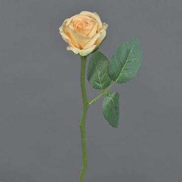 Fleur artificielle rose GABI, pêche-crème, 30 cm, Ø 6 cm Fleur artificielle rose GABI, pêche-crème, 30 cm, Ø 6 cm