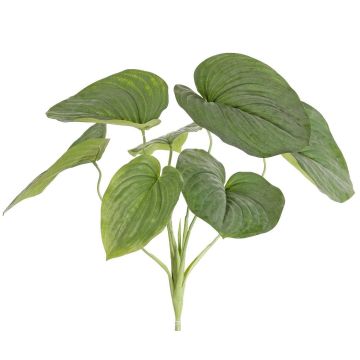 Plante artificielle hosta RAIATEA sur tige, verte, 65 cm